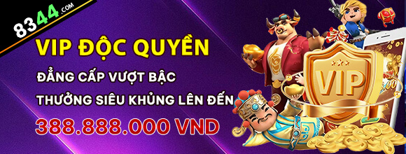 betvn