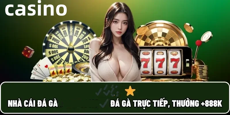betvn